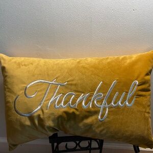 NEW Velvet Feather pillow perfect decor for the holidays and any other time